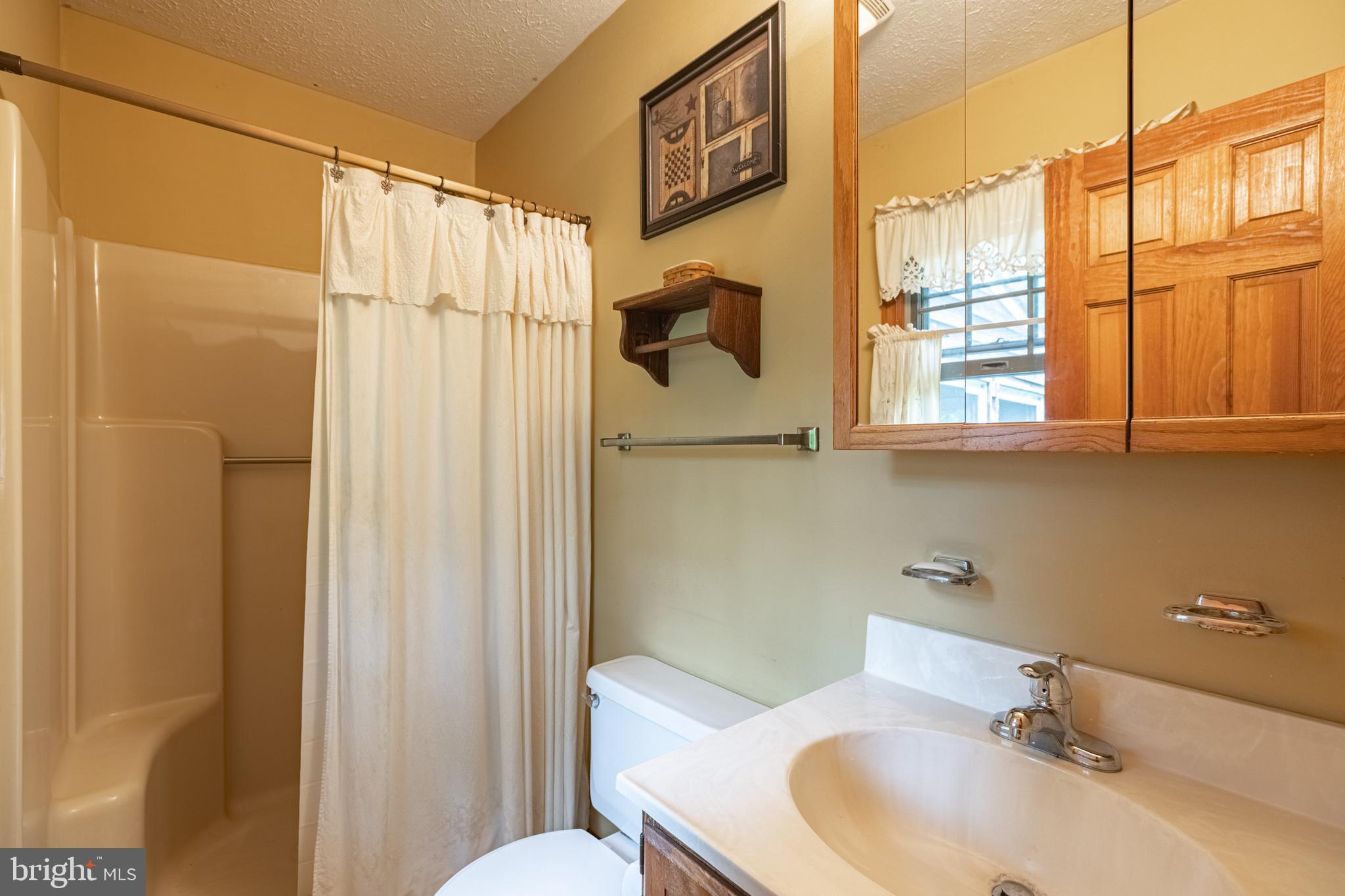 5218 Caledon Road King George, VA 22485 - Photo 34 of 59 Master Bathroom with shower