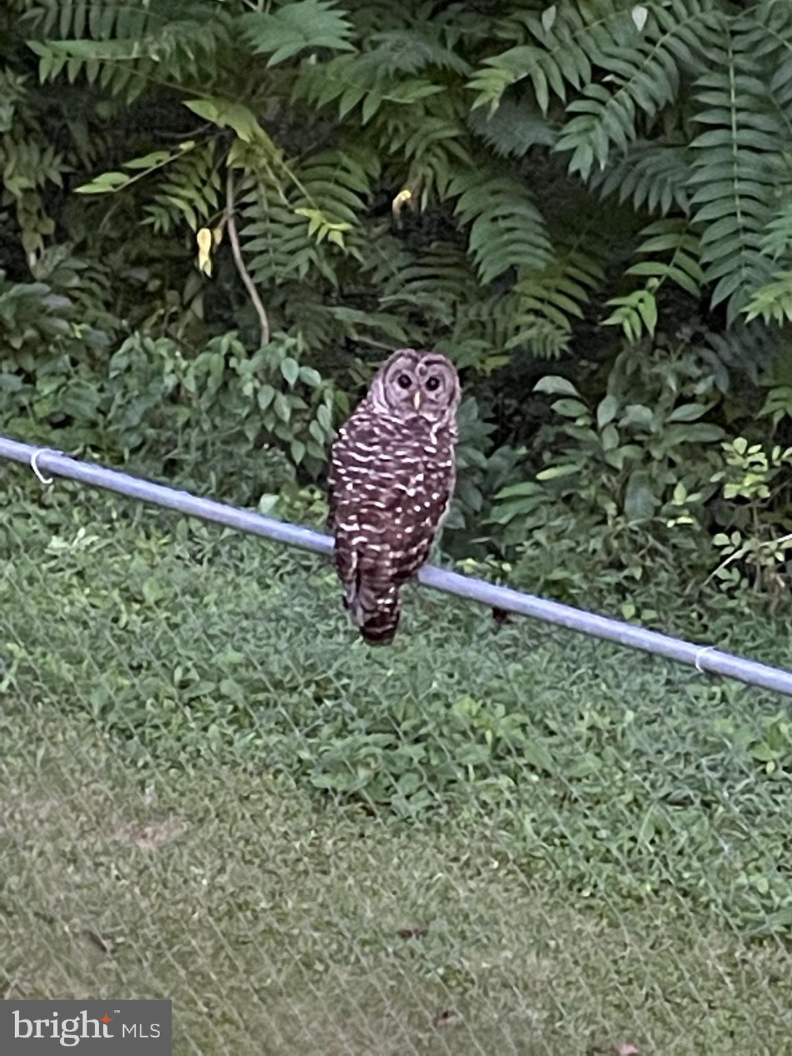 5218 Caledon Road King George, VA 22485 - Photo 59 of 59