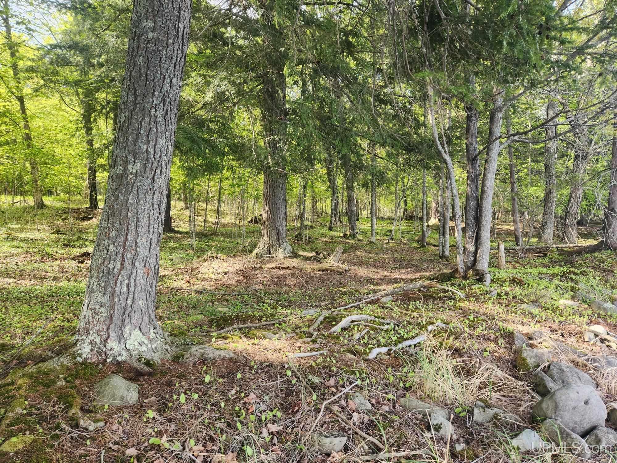 Lot 18 University Road Iron River, MI 49935 - Photo 30 of 36 Gallery Image 30