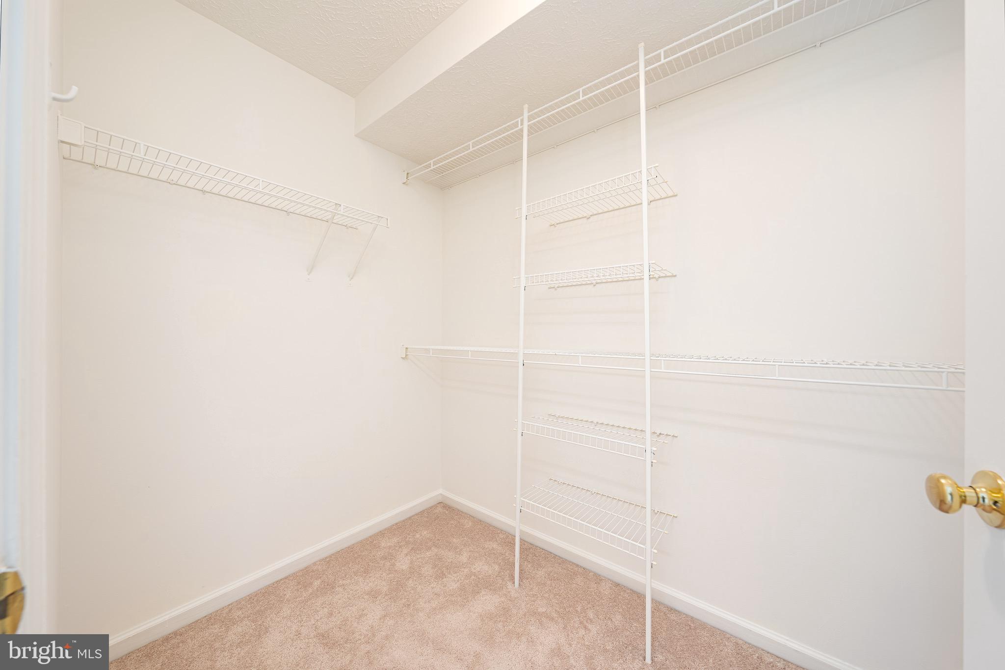 10105 Ridge Manor Terrace, Unit 3000H Damascus, MD 20872 - Photo 21 of 26 Walk-in closet