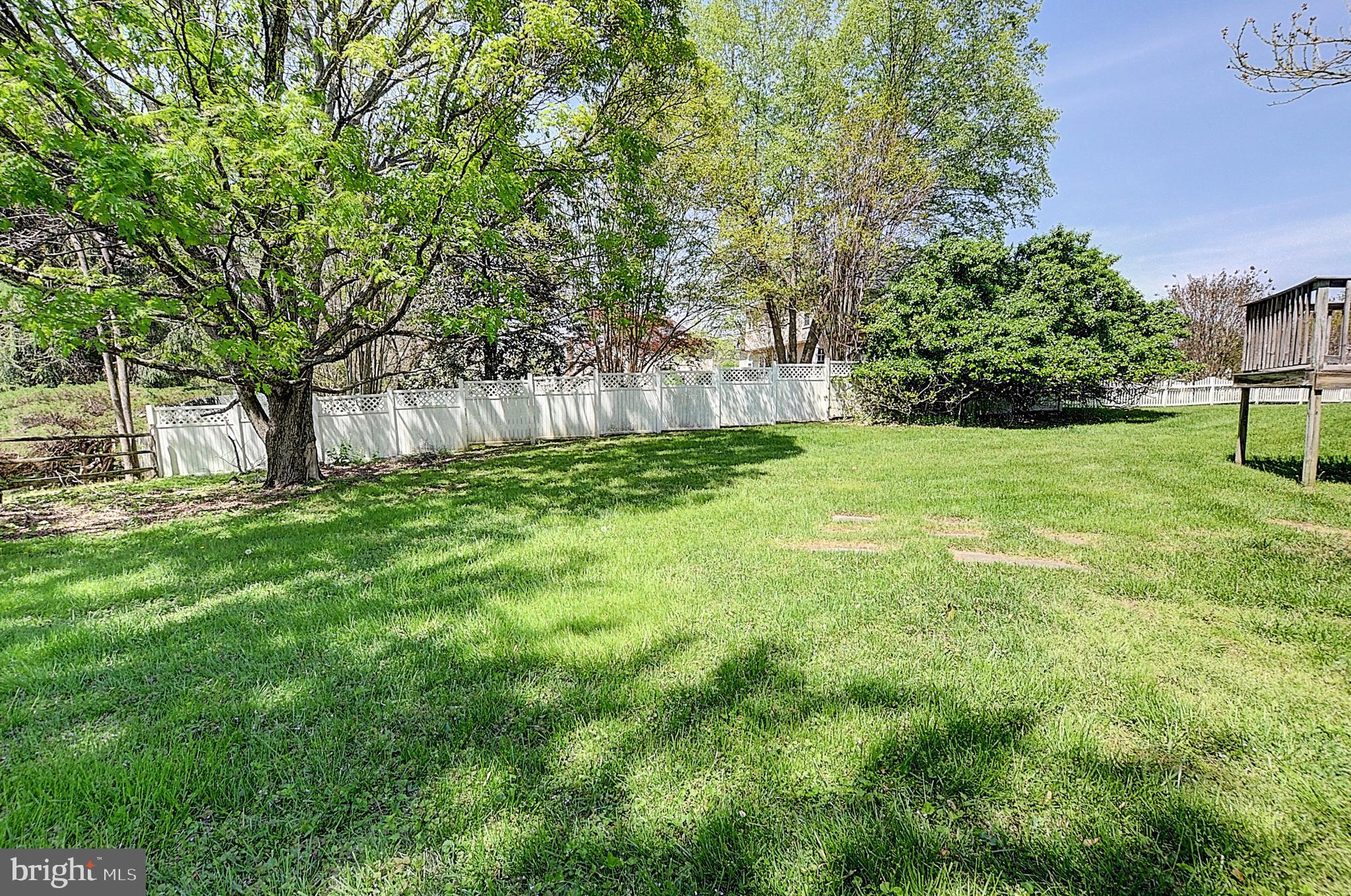 14417 Jaystone Drive Silver Spring, MD 20905 - Photo 16 of 30 a view of a yard with a tree