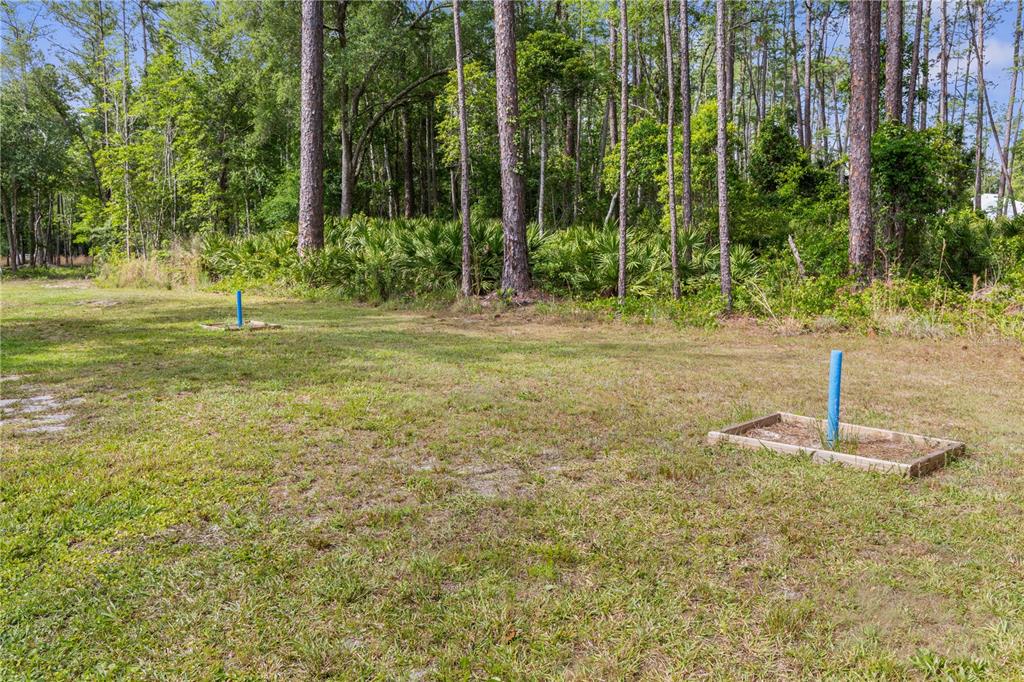 1688 Papaya Street Bunnell, FL 32110 - Photo 39 of 63 a fire hydrant in the middle of a yard