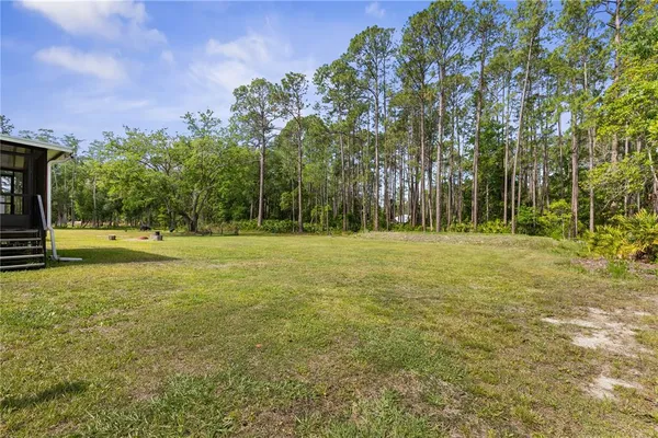 a view of a big yard with lots of green space