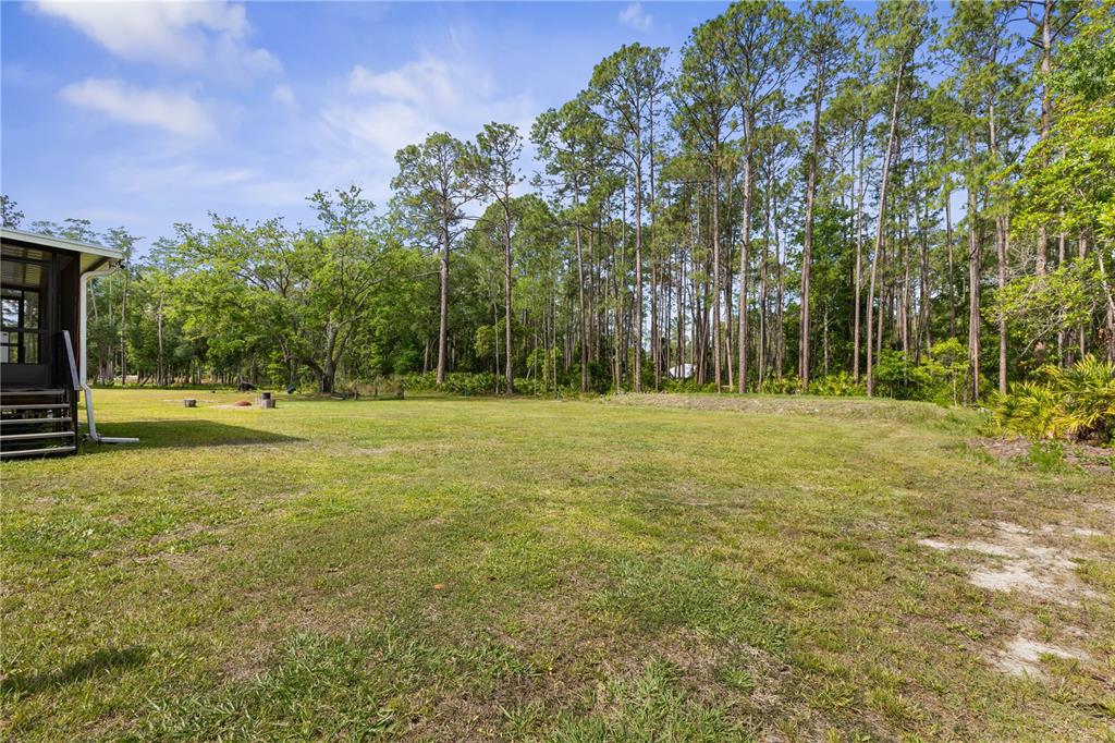 1688 Papaya Street Bunnell, FL 32110 - Photo 40 of 63