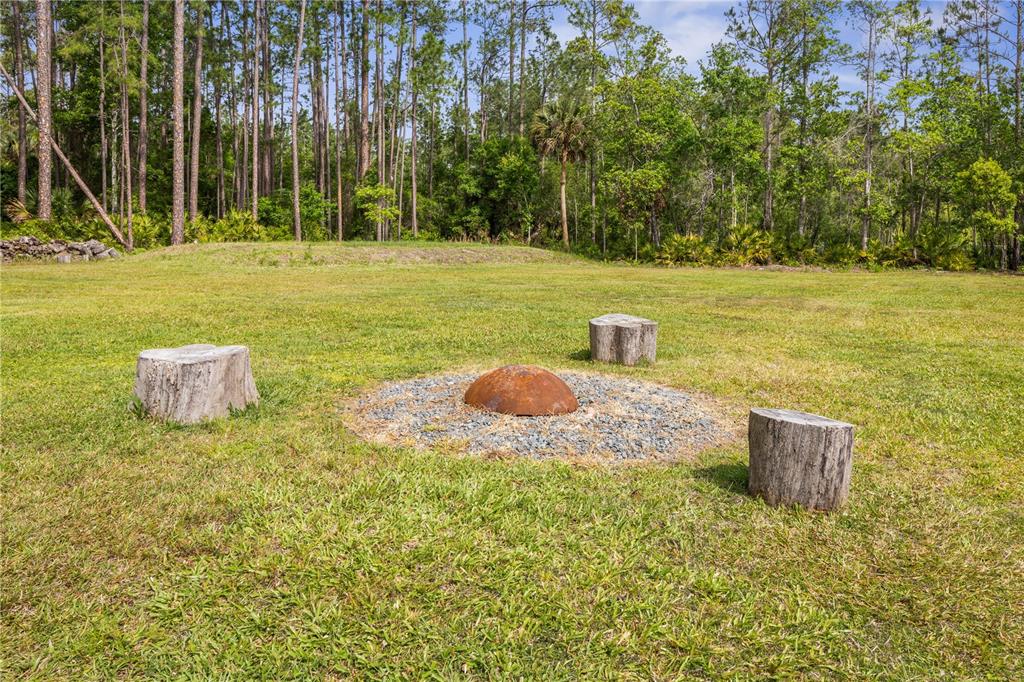 1688 Papaya Street Bunnell, FL 32110 - Photo 44 of 63