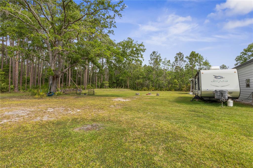 1688 Papaya Street Bunnell, FL 32110 - Photo 46 of 63 a backyard of a house with lots of green space