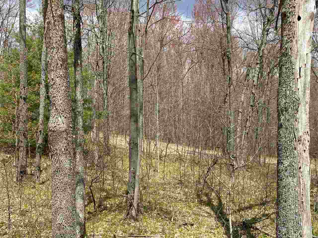 435 East Townline Lake Road Harrison, MI 48625 - Photo 18 of 24