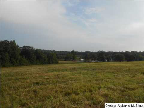 1400 Wilson Chapel Road, Unit 28 ACRES Oneonta, AL 35121 - Photo 12 of 19