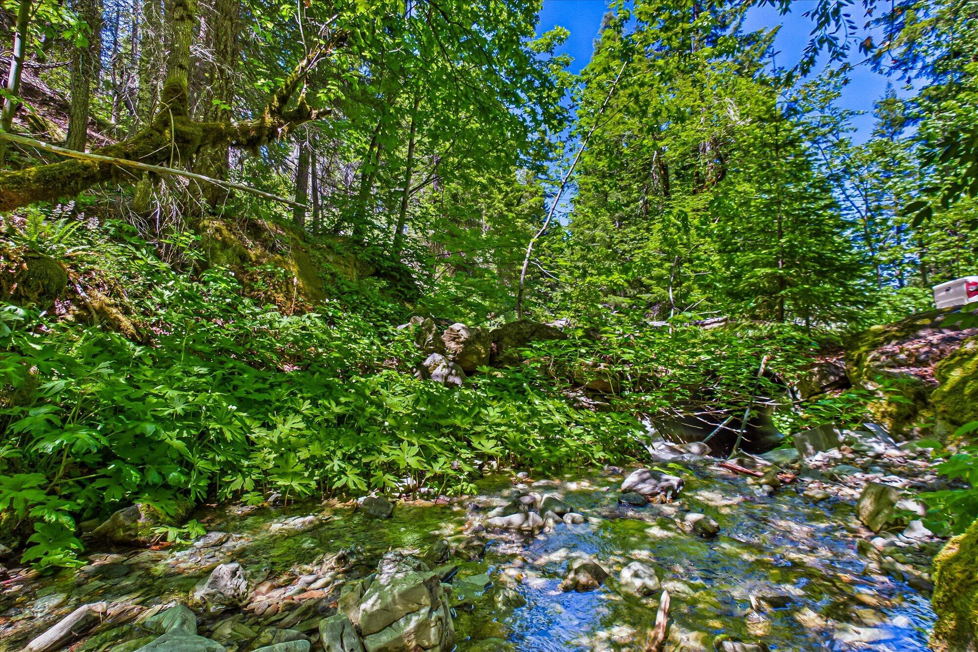 0 Forest Rte 4N20 Road Hayfork, CA 96041 - Photo 11 of 22
