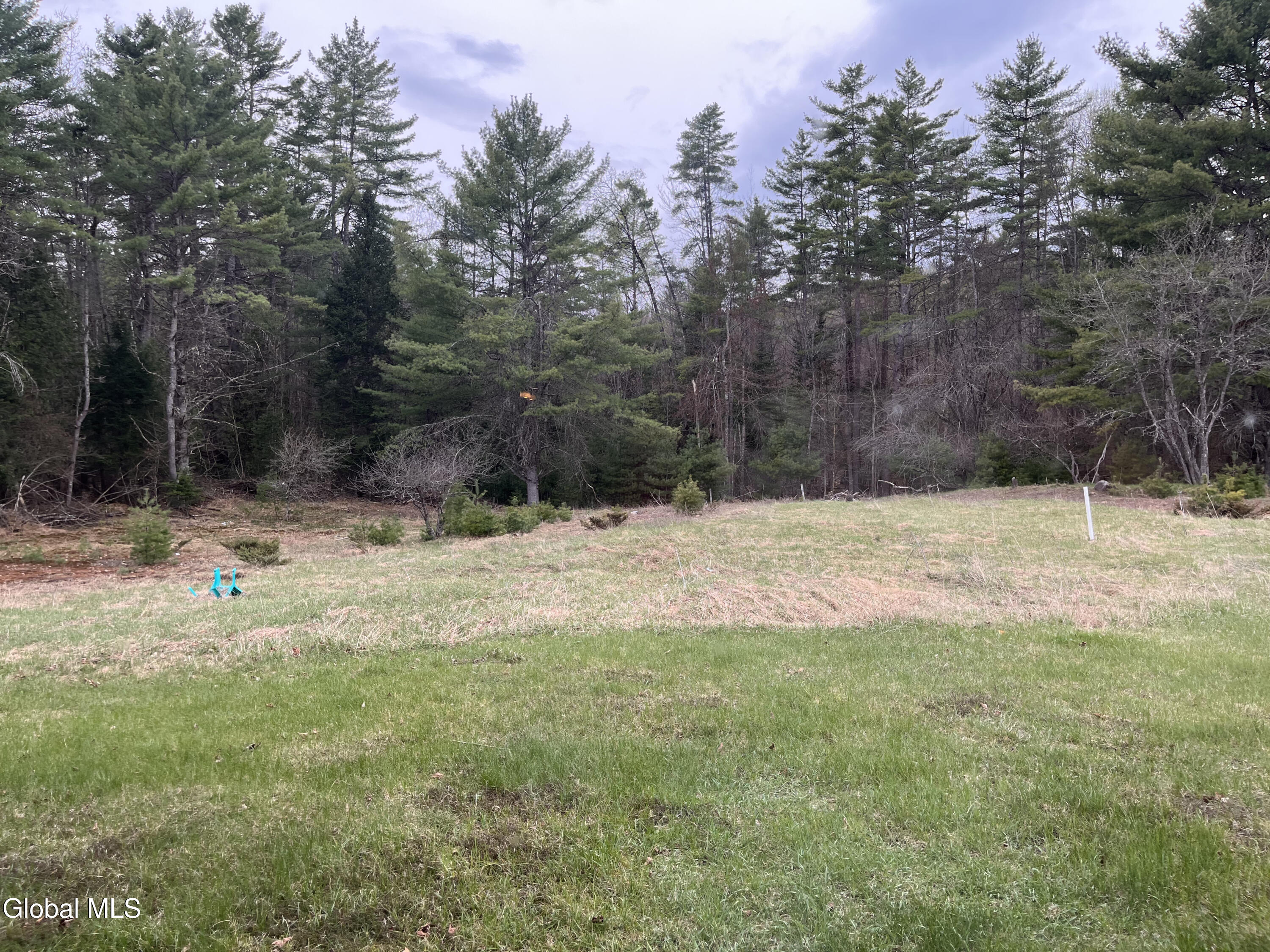 100 Fish Hollow Road Chester, NY 12853 - Photo 31 of 94 IMG_5122