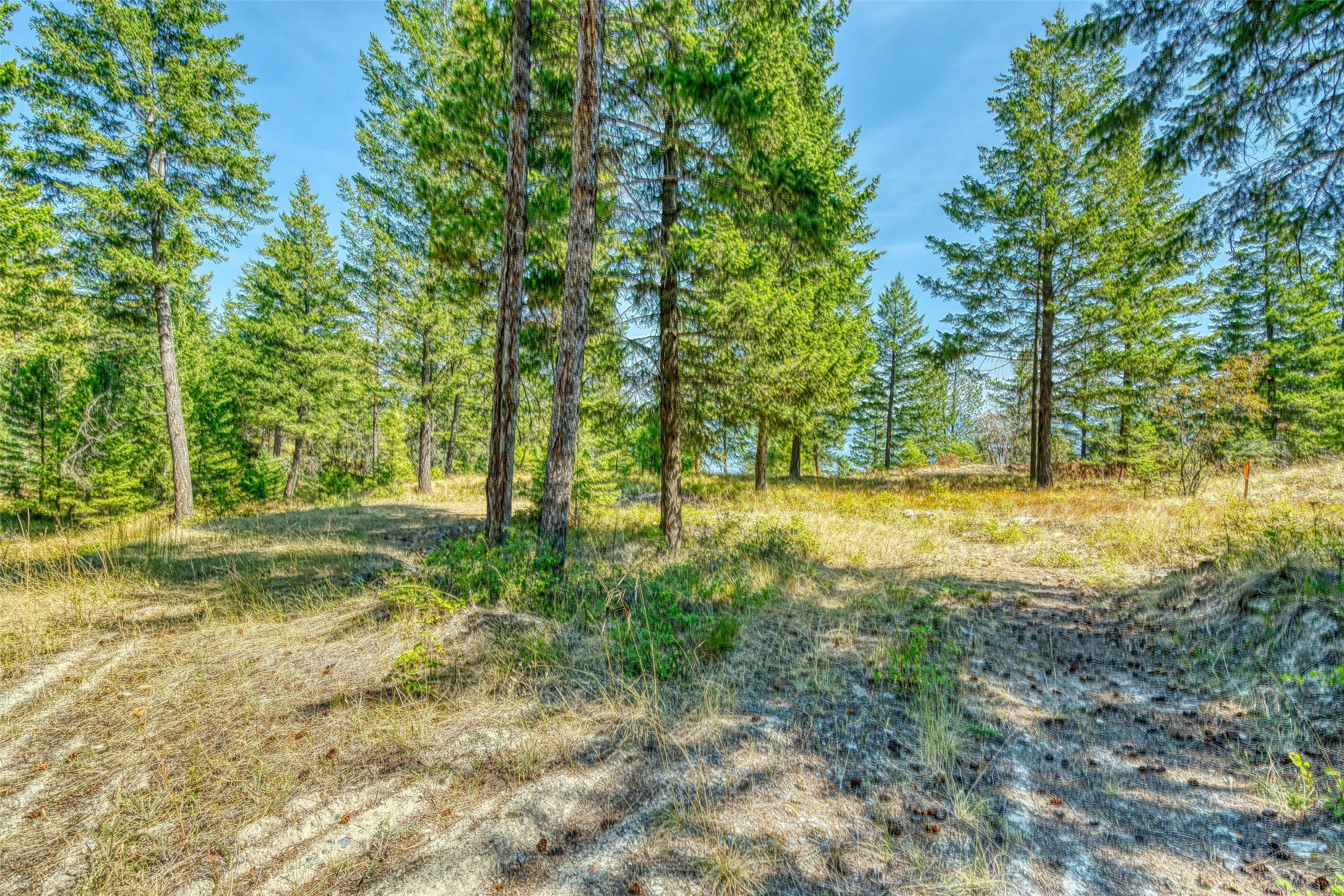 535 Bear Mountain Road Lakeside, MT 59922 - Photo 29 of 39 Gallery Image 29