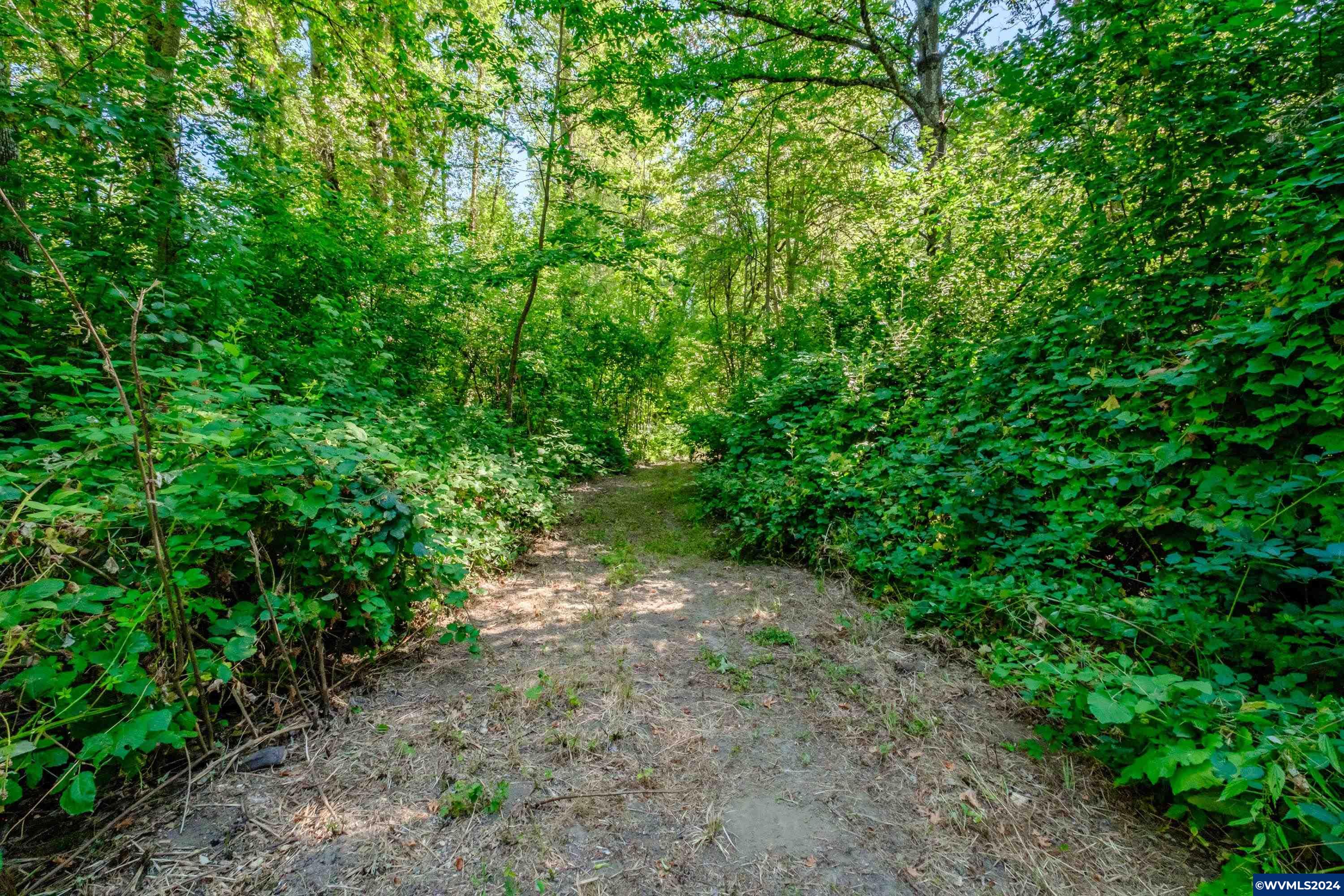 Lot 2 Matheny Road Gervais, OR 97026 - Photo 7 of 29