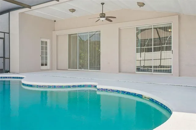 a potted plant sitting in front of a blue umbrella