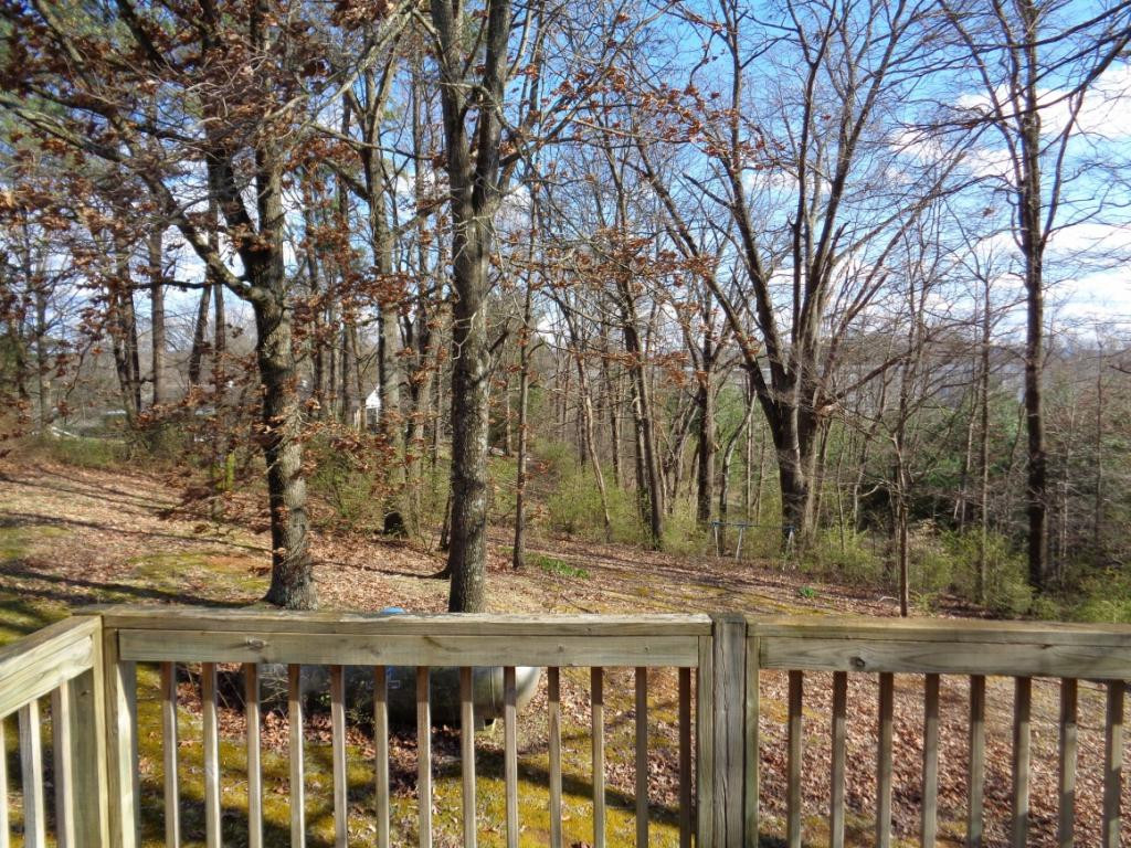 17264 Rim Road Abingdon, VA 24210 - Photo 14 of 33 Deck off Bedroom 1