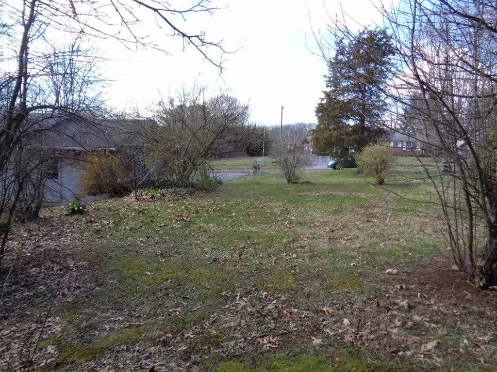 17264 Rim Road Abingdon, VA 24210 - Photo 29 of 33 Garden plot