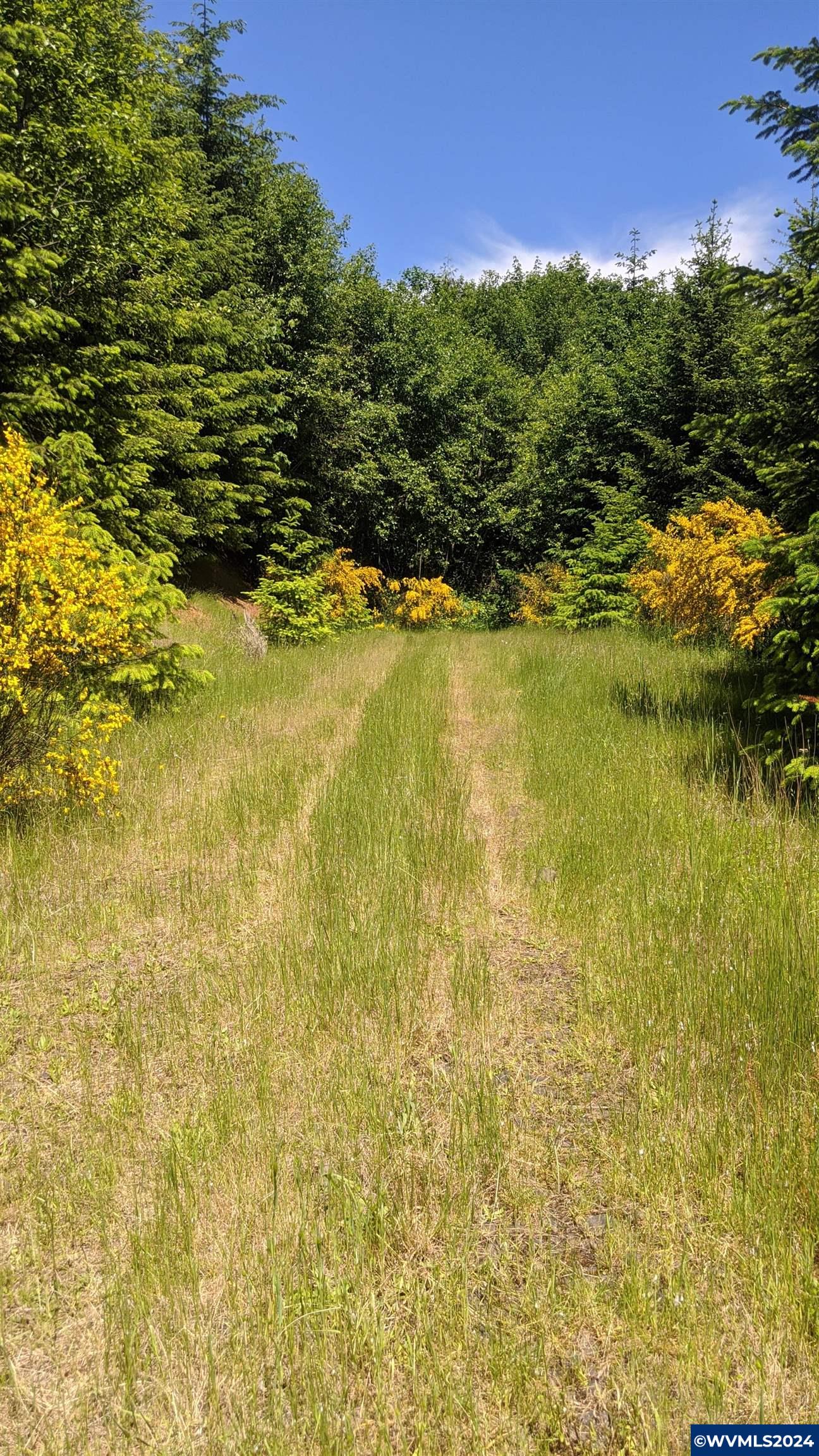Northwest Timmerman Road Forest Grove, OR 97116 - Photo 9 of 12