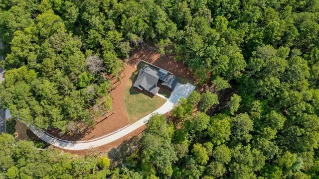 an aerial view of residential house and green space