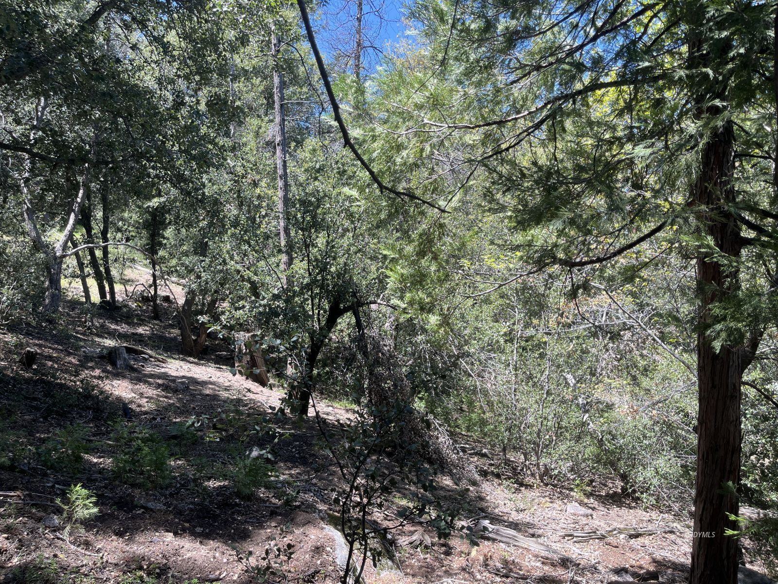 Middle Ridge Idyllwild, CA 92549 - Photo 12 of 15 Untitled