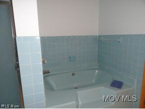 1095 Joe Skinner Road Belpre, OH 45714 - Photo 15 of 24 More Second bath w/ shower too
