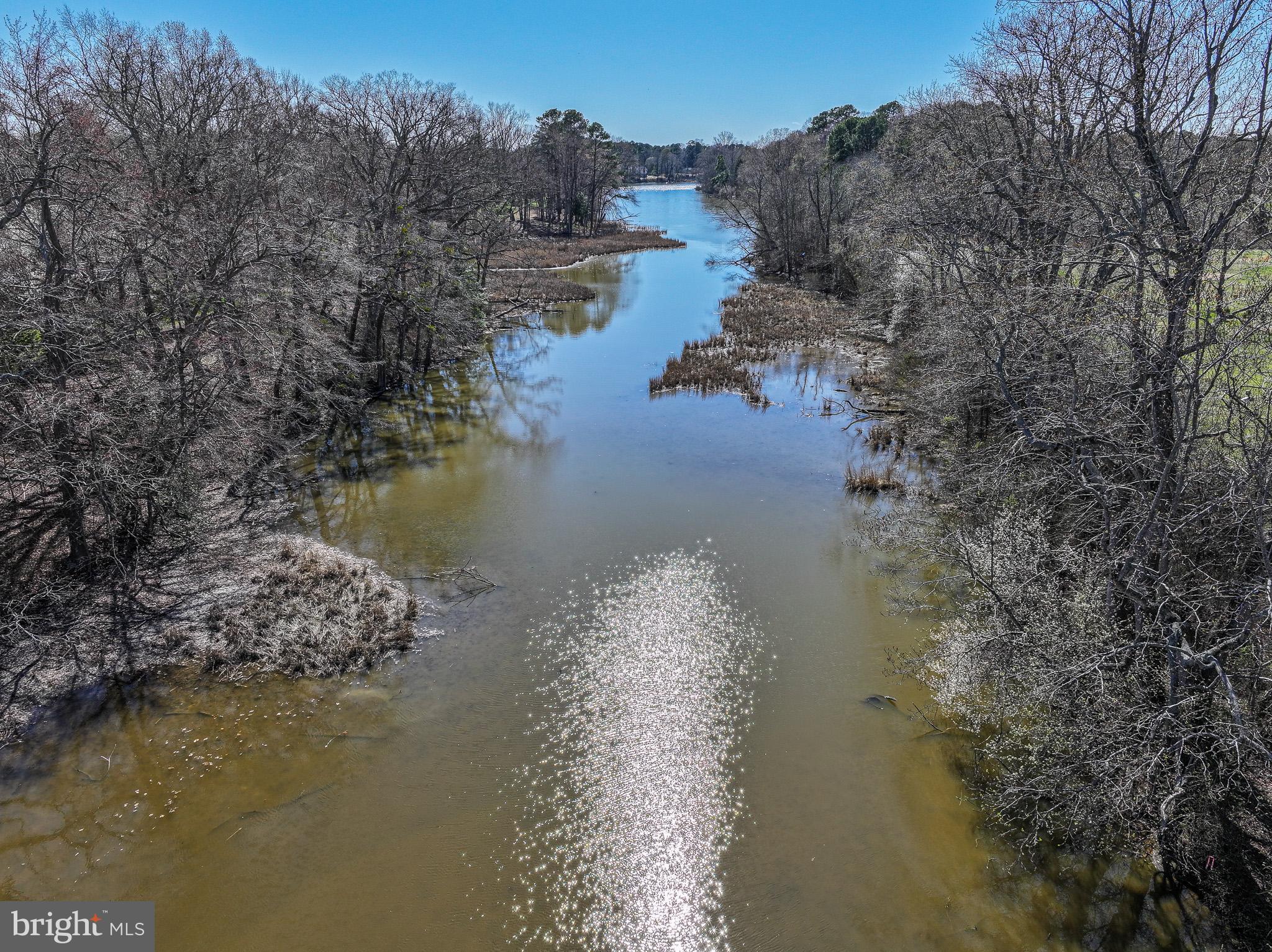 6976 Cookes Hope Road Easton, MD 21601 - Photo 6 of 18 300 feet of water frontage