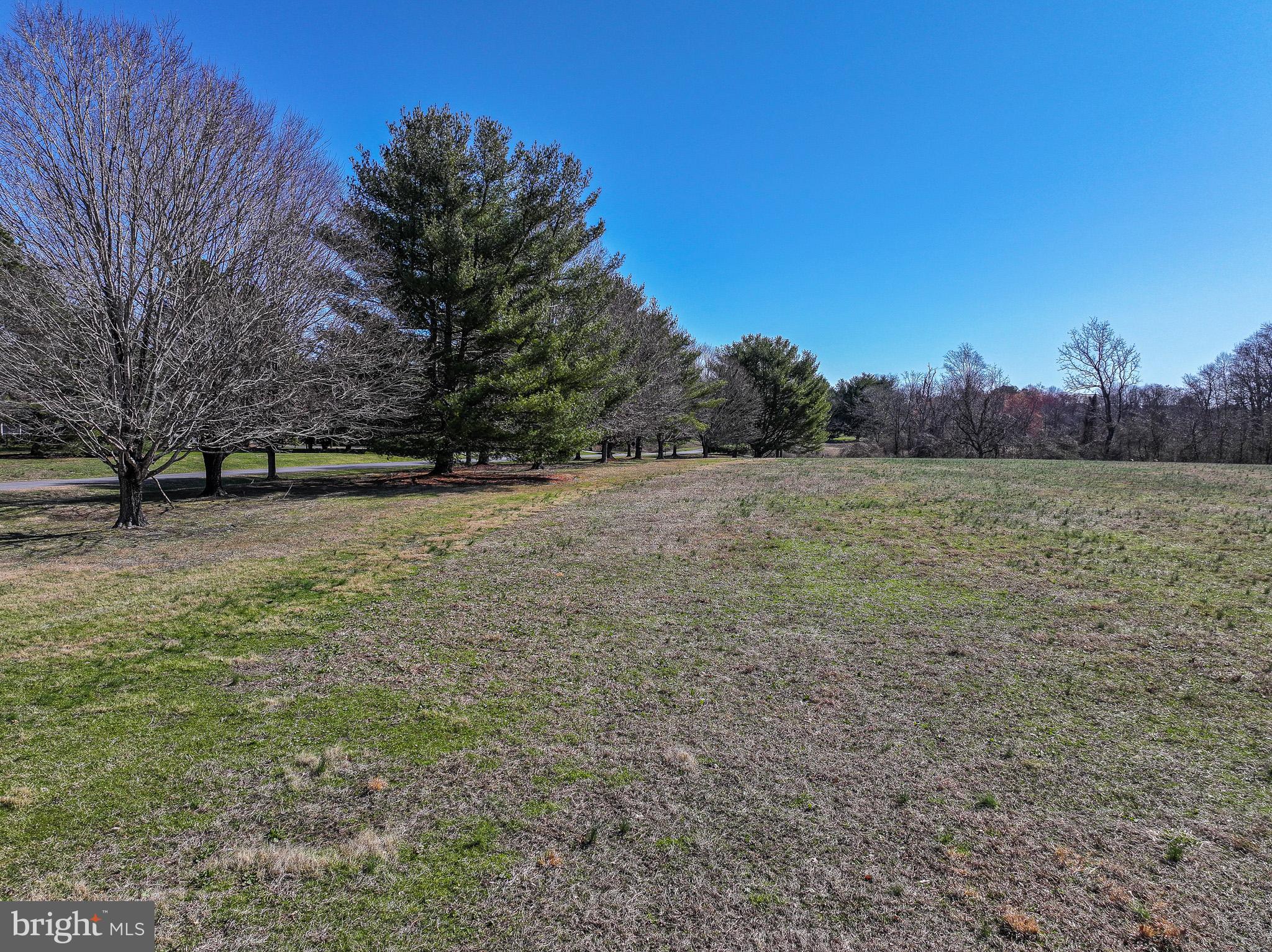 6976 Cookes Hope Road Easton, MD 21601 - Photo 7 of 18 Mature trees on the property
