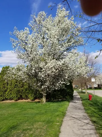 $394,900 | 24404 Simmons Drive, Novi, MI 48374