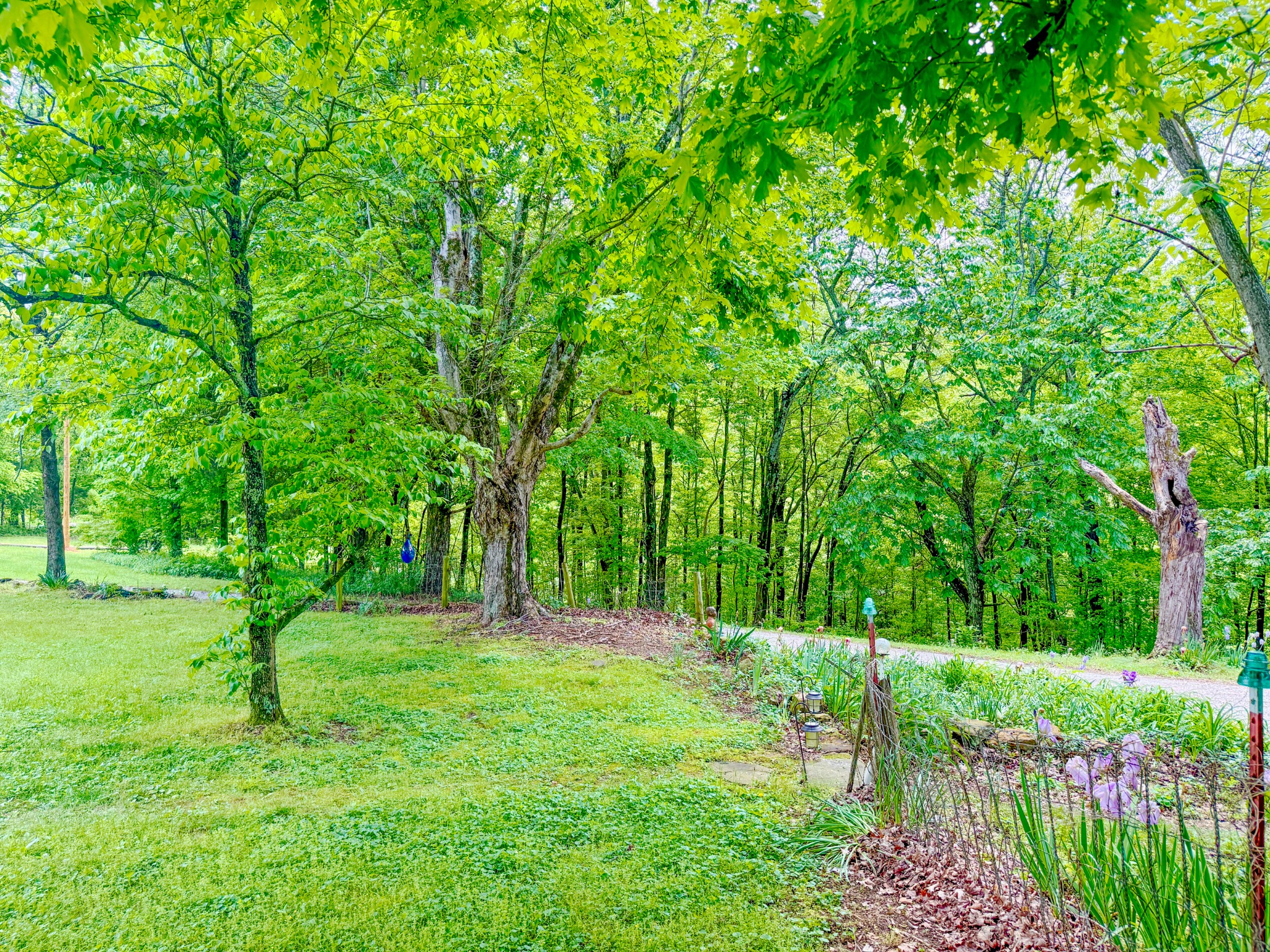 3217 Pisgah Ridge Road Pulaski, TN 38478 - Photo 32 of 42