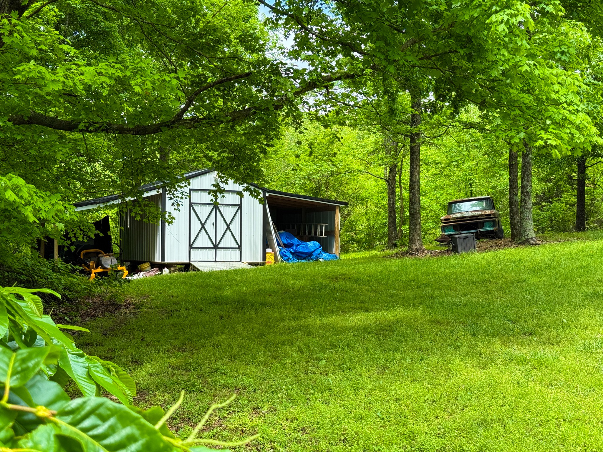 3217 Pisgah Ridge Road Pulaski, TN 38478 - Photo 36 of 42