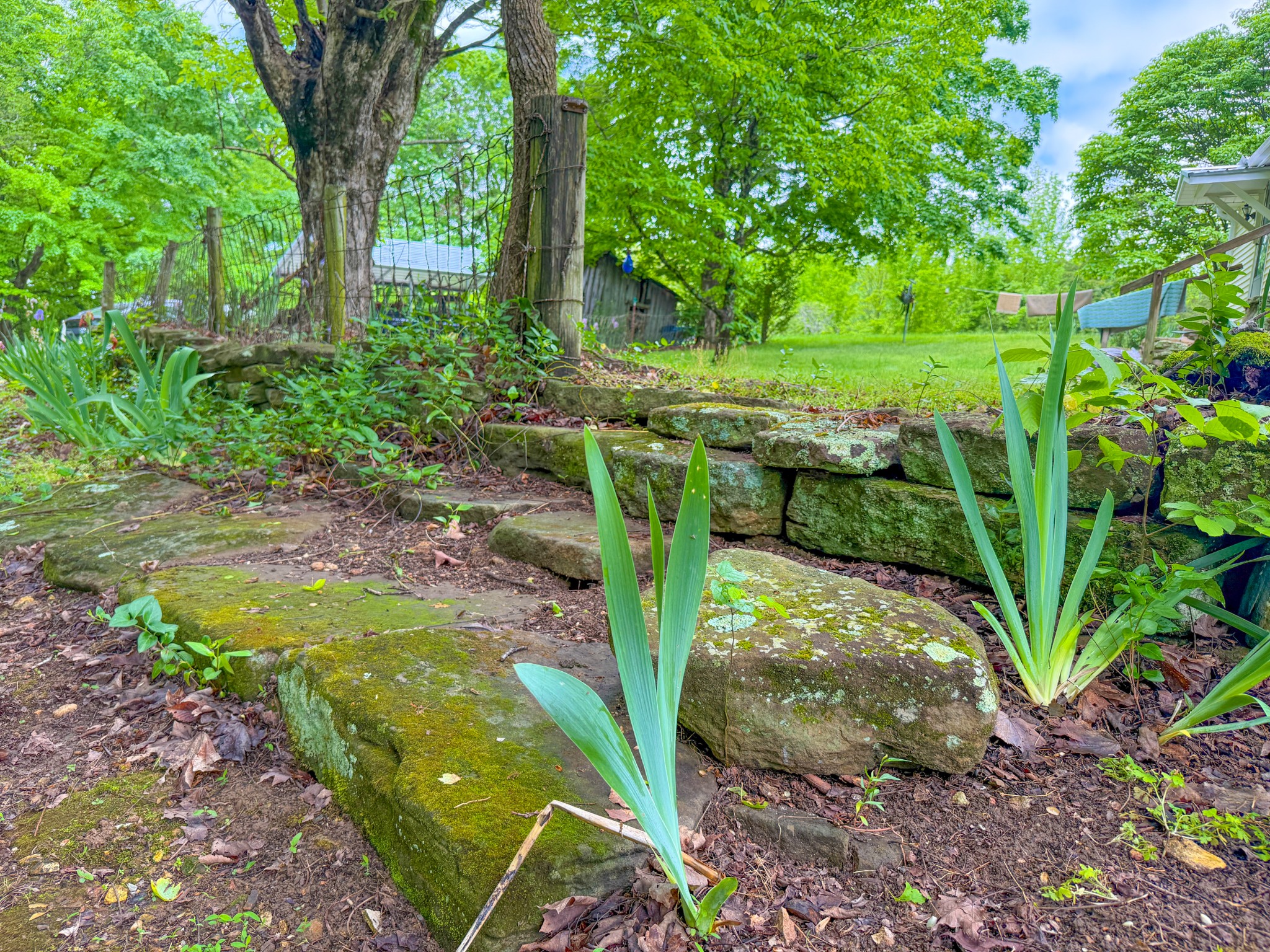 3217 Pisgah Ridge Road Pulaski, TN 38478 - Photo 37 of 42