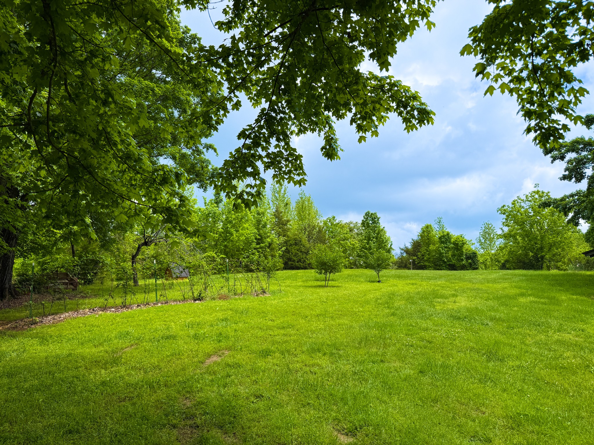 3217 Pisgah Ridge Road Pulaski, TN 38478 - Photo 38 of 42