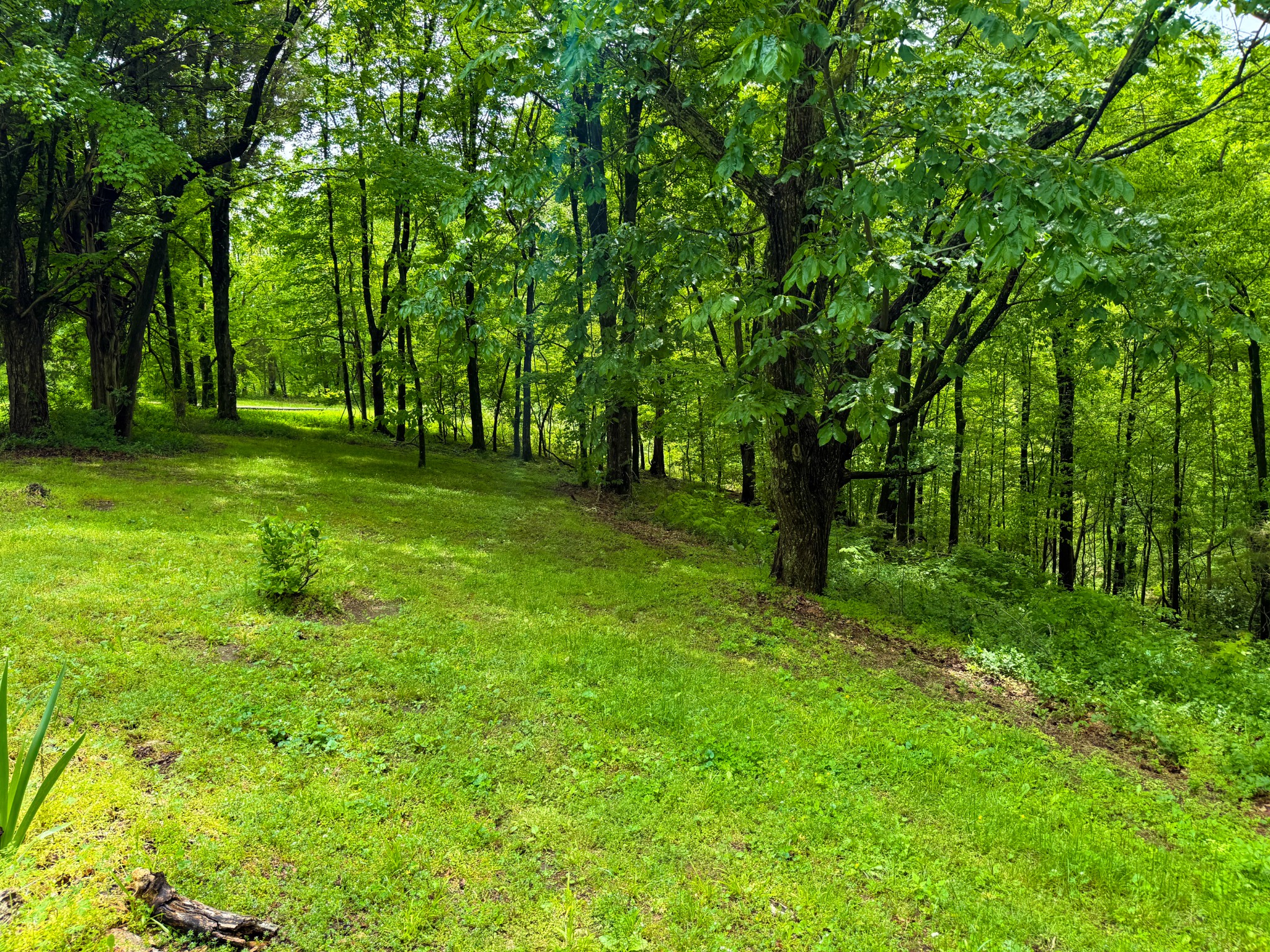 3217 Pisgah Ridge Road Pulaski, TN 38478 - Photo 41 of 42