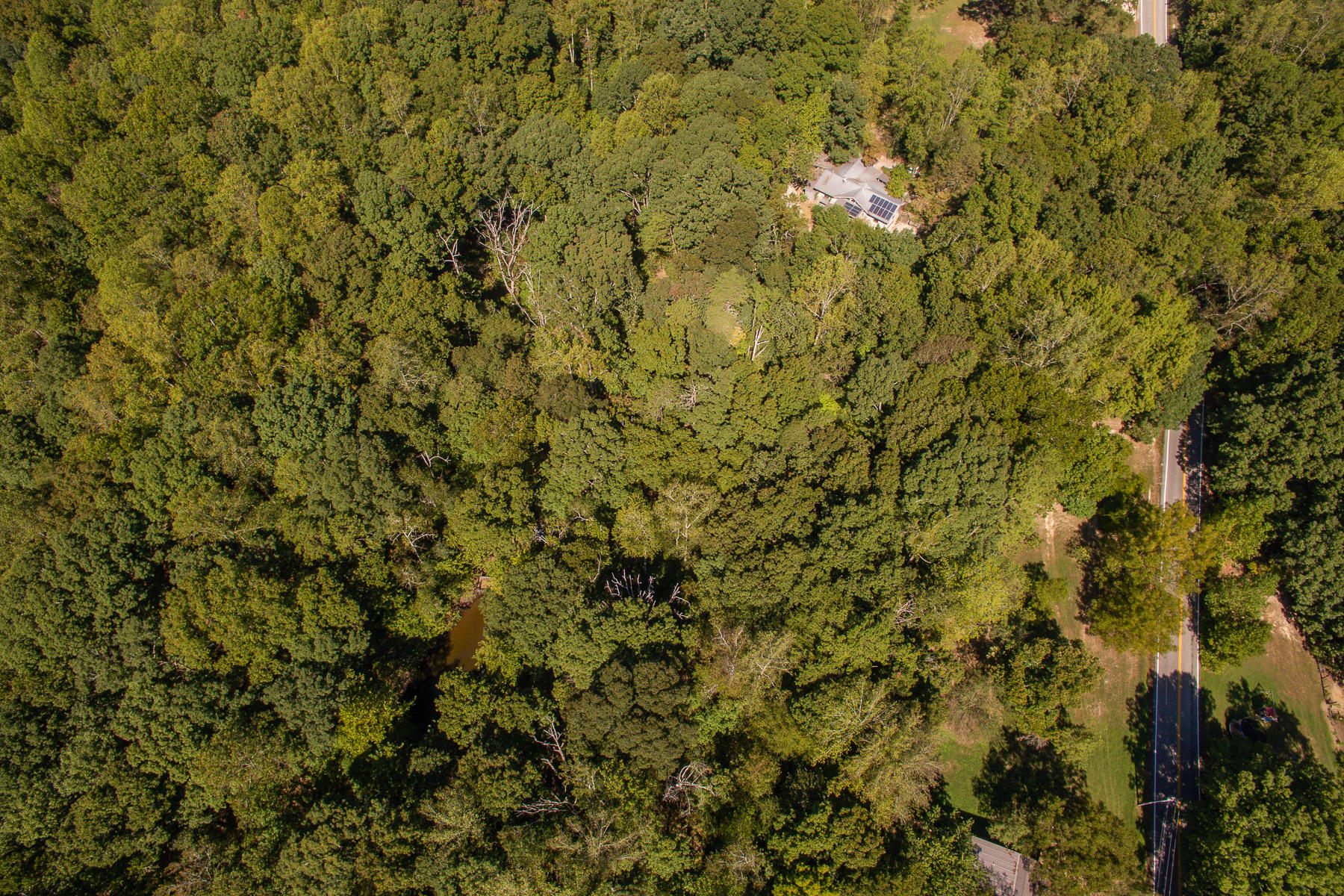 3327 Camp Road Apison, TN 37302 - Photo 26 of 28 3327 Camp Rd.
