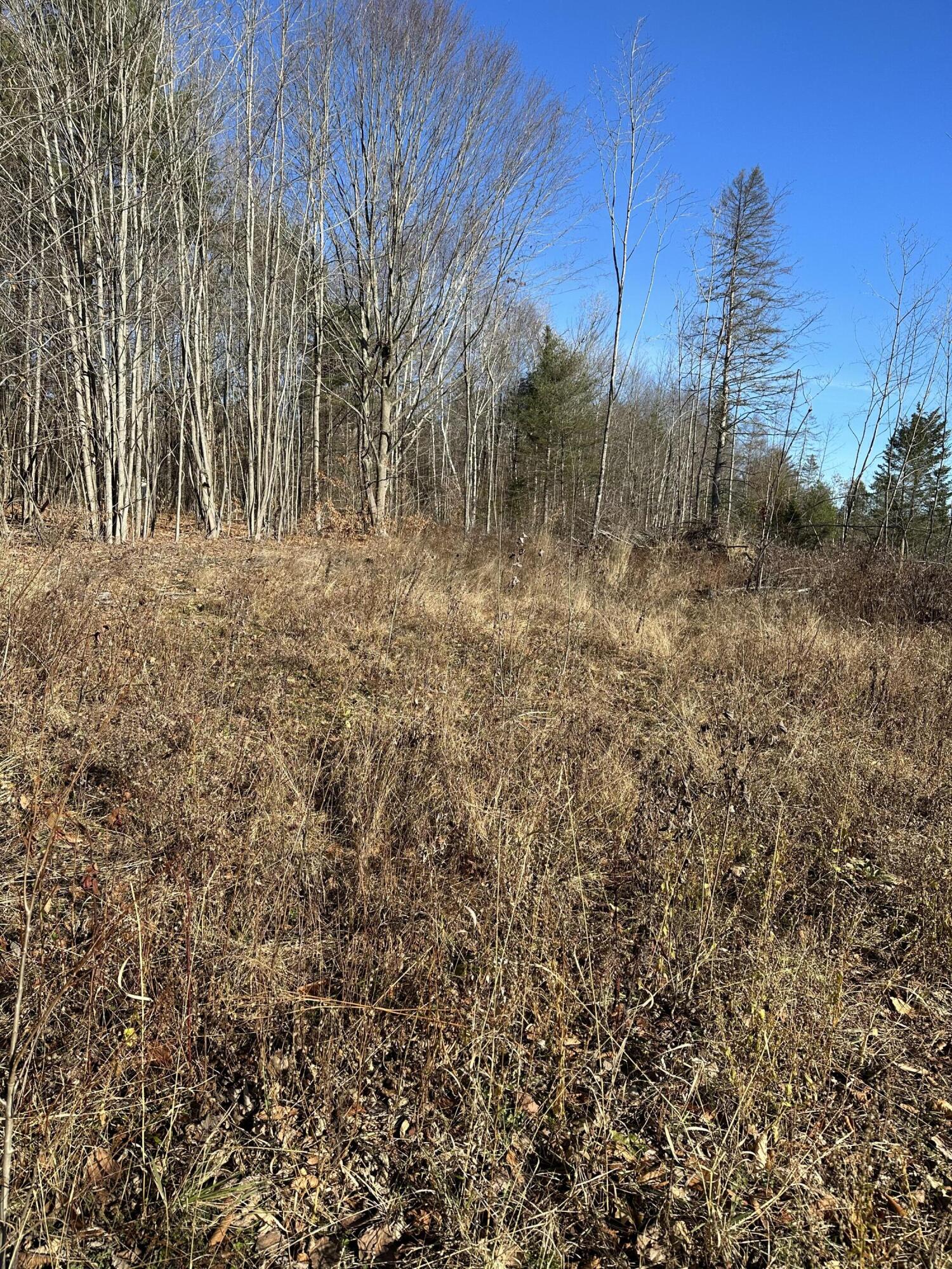73 High Cut Road Garland, ME 04939 - Photo 3 of 10 5DD99018-1191-4FD3-BE3C-59E76F67848D