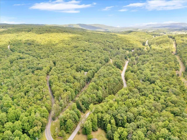 a view of a city with an ocean