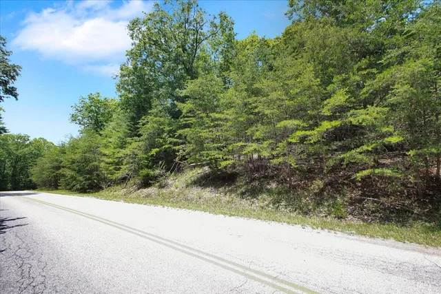 a view of a forest view