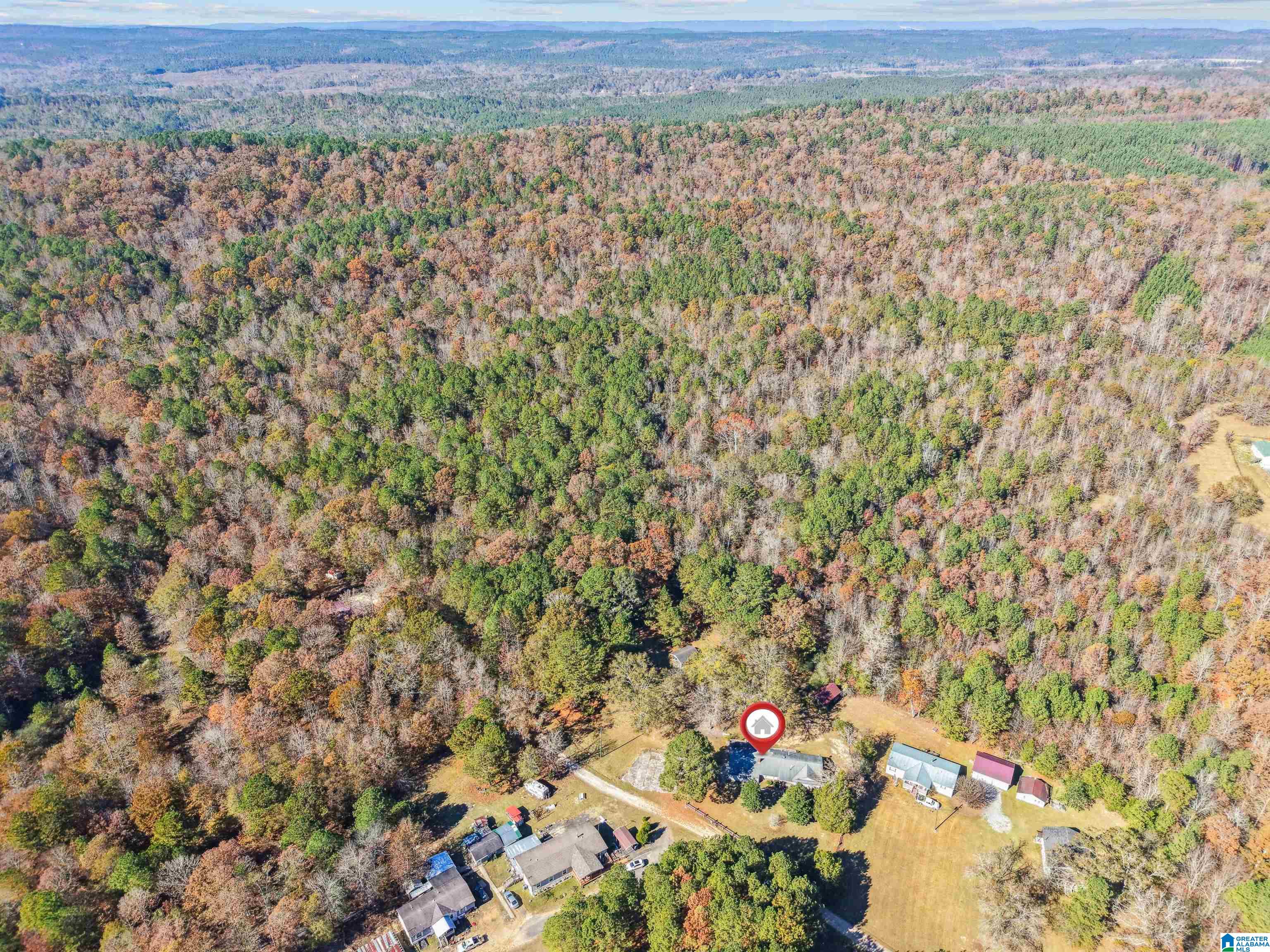 250 Harris Lane Ragland, AL 35131 - Photo 3 of 30