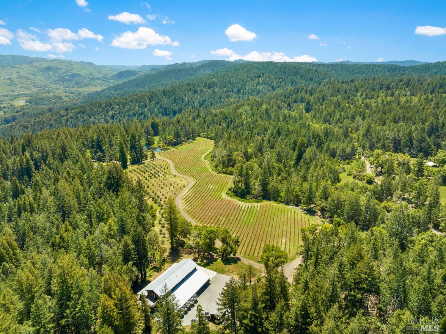 8851 Ravens Pike - quintessential Anderson Valley winery and vineyard property