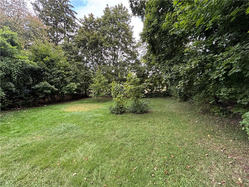 350 East Union Street Arcadia, NY 14513 - Photo 22 of 23