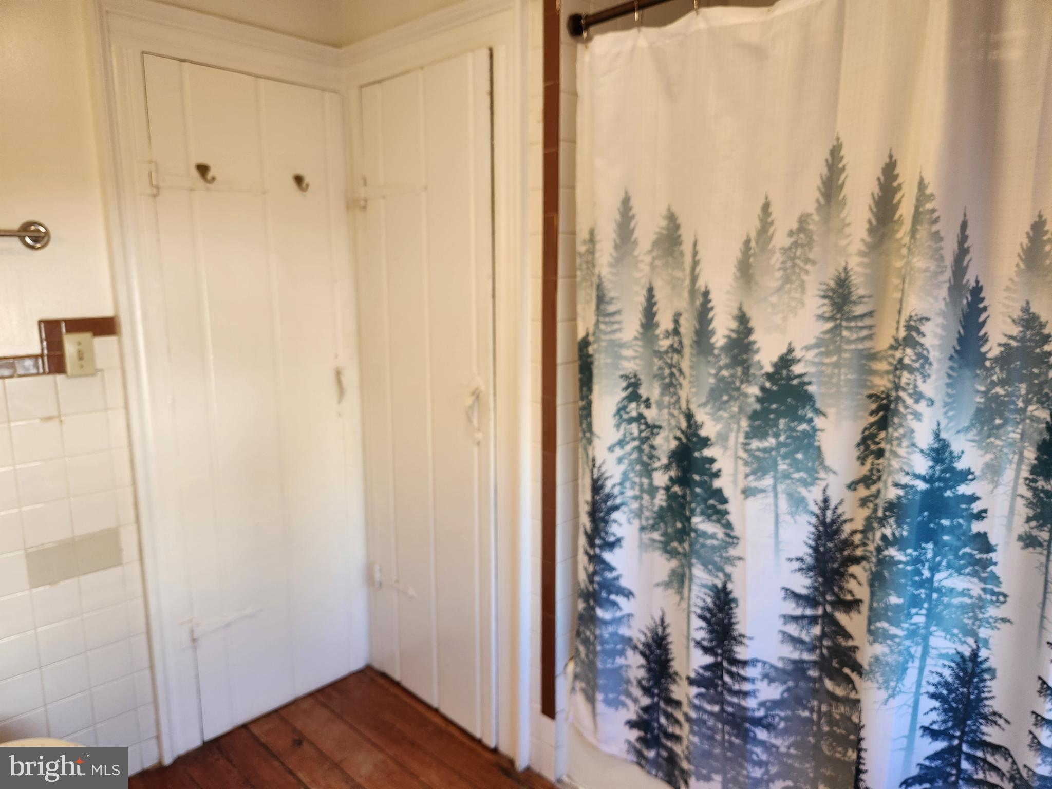 316 Princess Anne Street Fredericksburg, VA 22401 - Photo 21 of 44 a view of a bathroom with shower and a curtain
