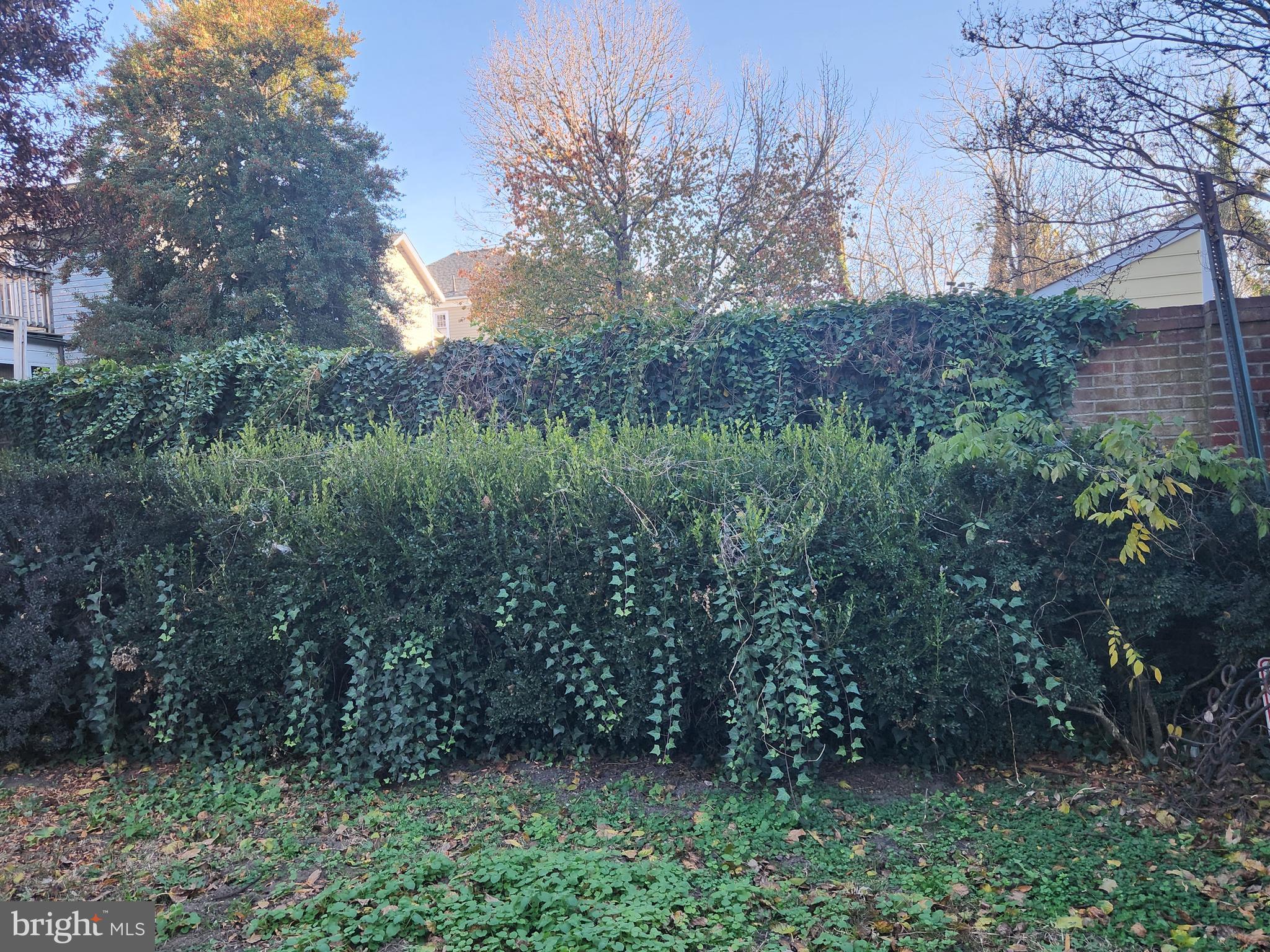 316 Princess Anne Street Fredericksburg, VA 22401 - Photo 36 of 44 a view of outdoor space and green space