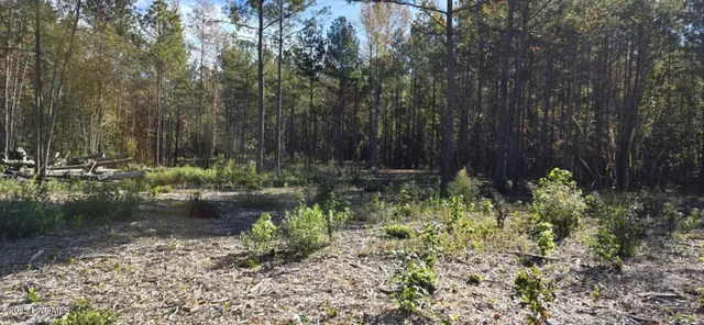 $145,145 | 1 Cameron Hill Road, Cameron, NC 28326