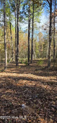 $145,145 | 1 Cameron Hill Road, Cameron, NC 28326