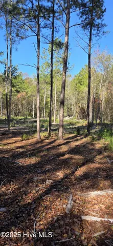 $145,145 | 1 Cameron Hill Road, Cameron, NC 28326