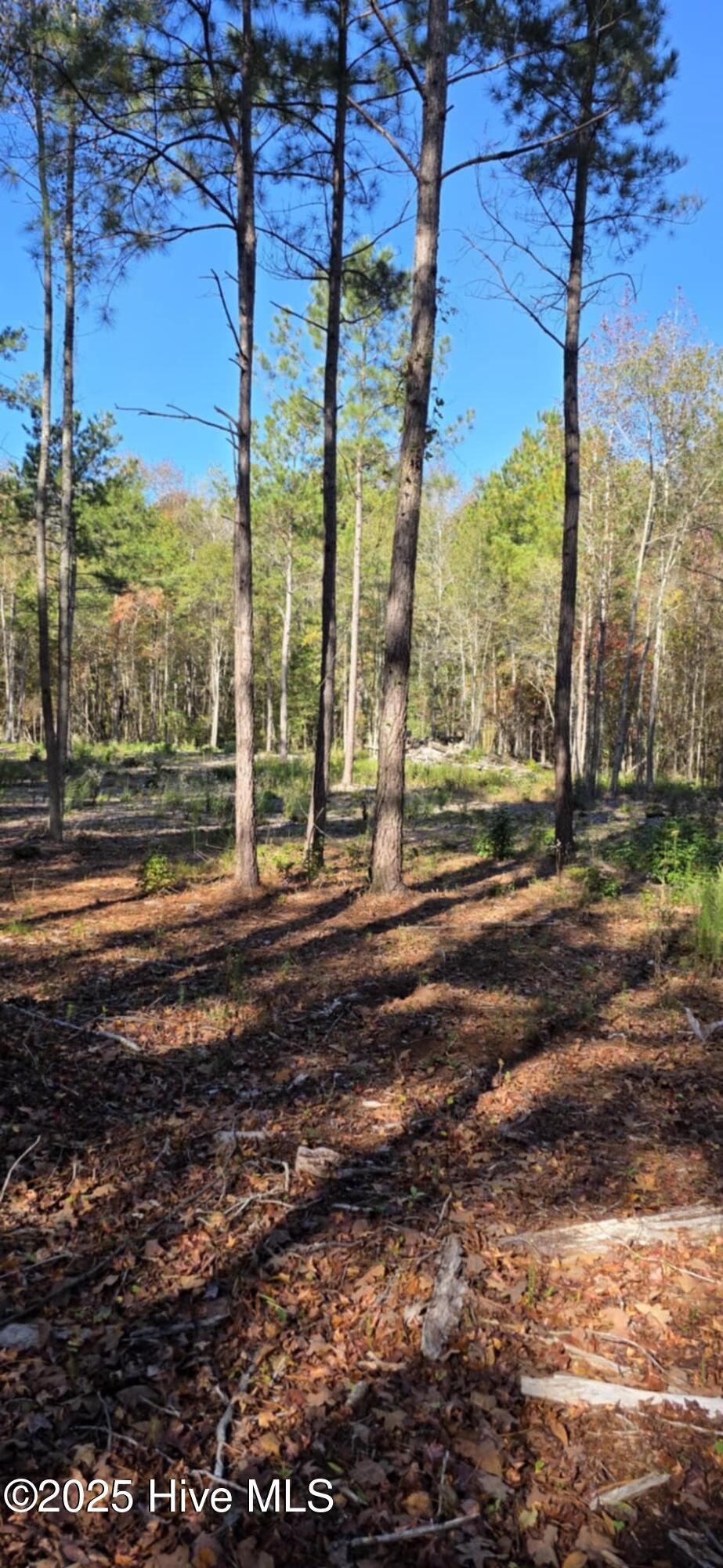 1 Cameron Hill Road Cameron, NC 28326 - Photo 8 of 14 tract1