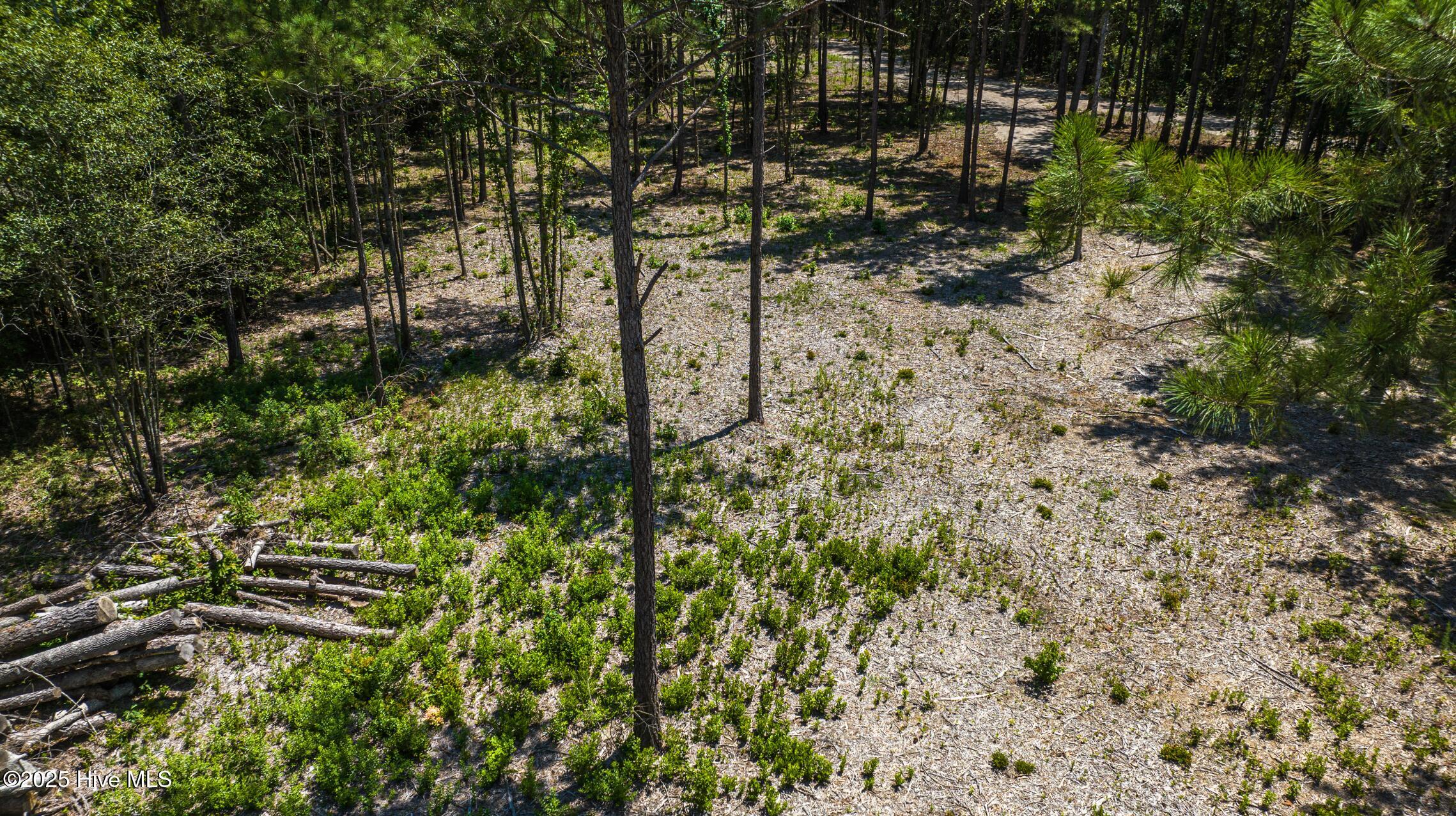 1 Cameron Hill Road Cameron, NC 28326 - Photo 9 of 14 aerialtract1