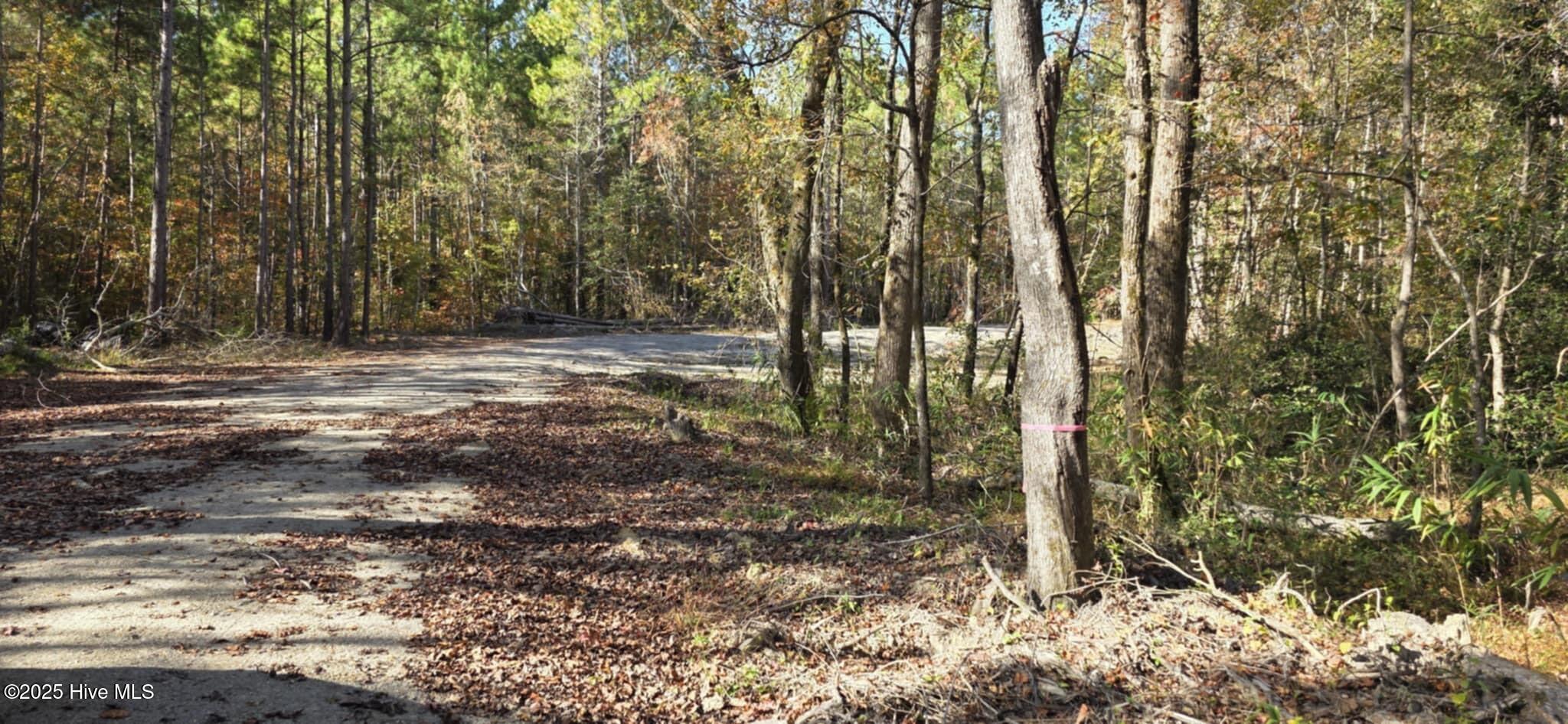 1 Cameron Hill Road Cameron, NC 28326 - Photo 10 of 14 easement:drivetotract2