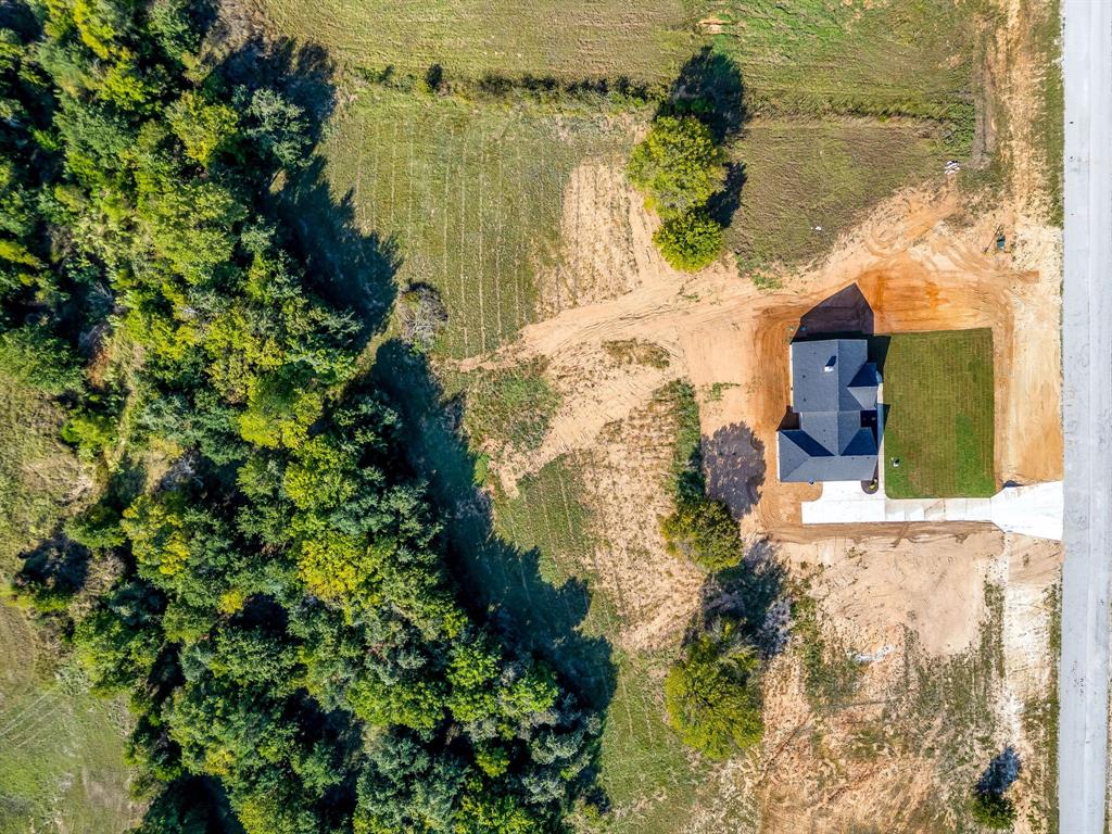 217 Kilkenny Road Poolville, TX 76487 - Photo 38 of 40 a picture of a tree with a lake