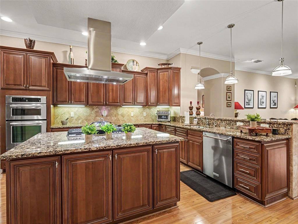 339 Corbett Road Lithia, FL 33547 - Photo 10 of 38 a kitchen with stainless steel appliances granite countertop a stove a sink and a refrigerator