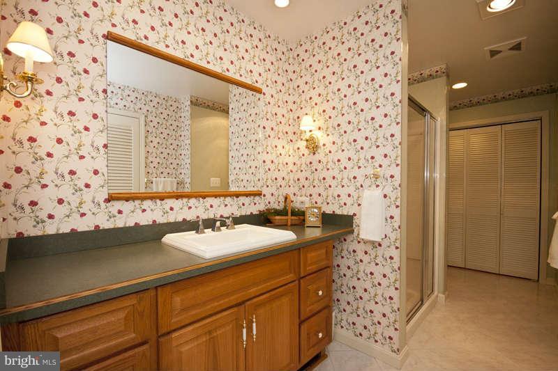 14532 Manor Road Phoenix, MD 21131 - Photo 22 of 30 Bath (Master)
