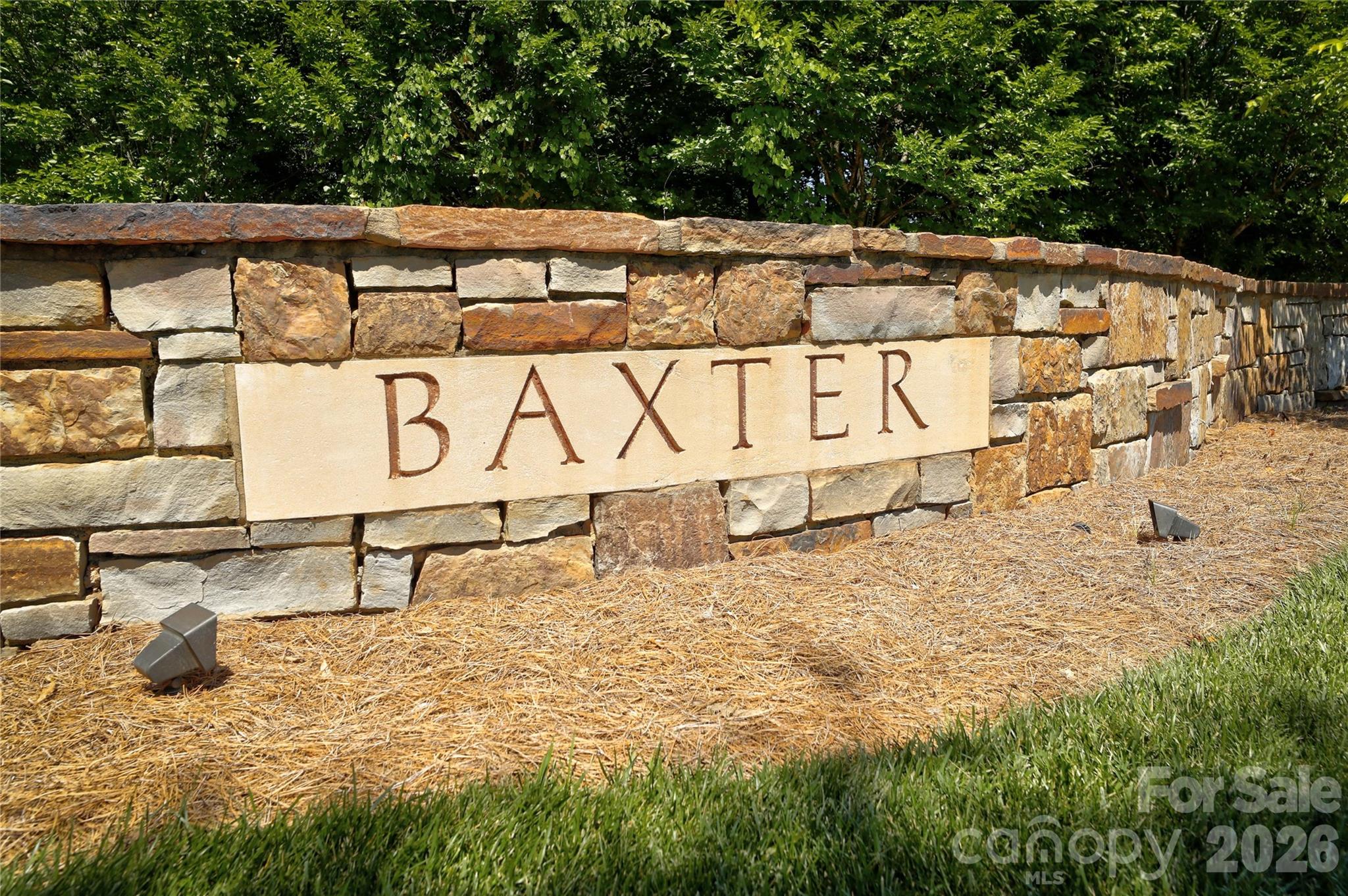 6121 Caseys Side Way Fort Mill, SC 29708 - Photo 45 of 48